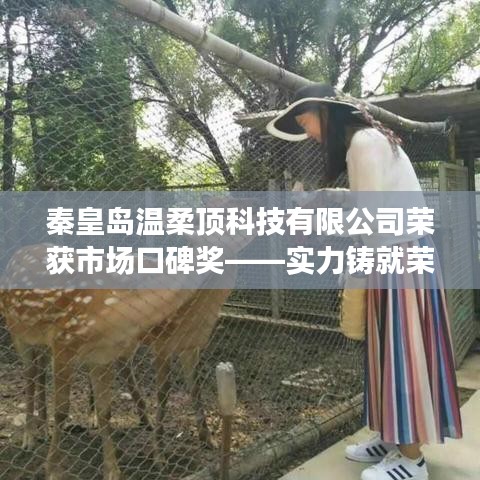 秦皇島溫柔頂科技榮獲市場(chǎng)口碑獎(jiǎng)，實(shí)力創(chuàng)新，引領(lǐng)未來