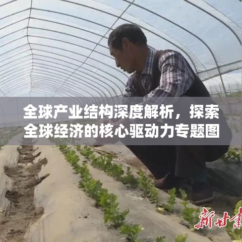 全球產(chǎn)業(yè)結(jié)構(gòu)深度解析，探索全球經(jīng)濟(jì)的核心驅(qū)動力專題圖書
