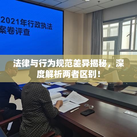 法律與行為規(guī)范差異揭秘，深度解析兩者區(qū)別！