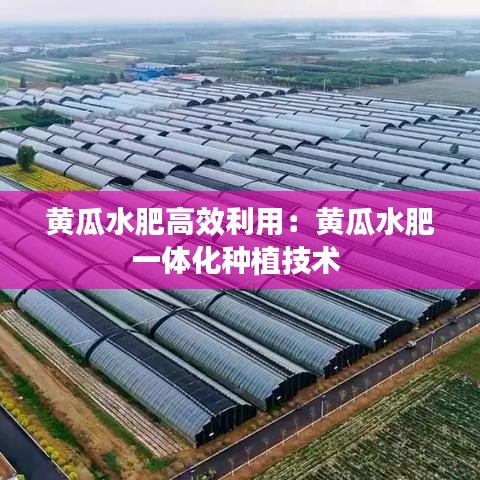 飛墻走壁 第3頁(yè)