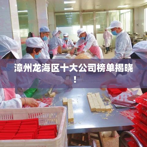 漳州龍海區(qū)十大公司榜單揭曉！