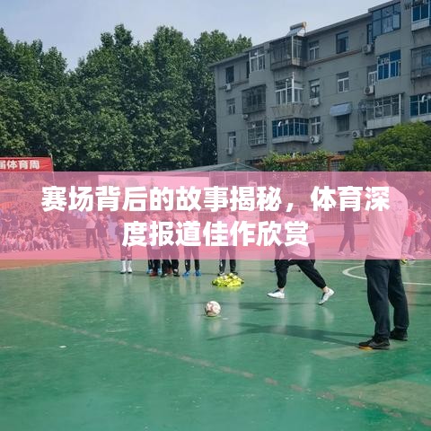 賽場背后的故事揭秘，體育深度報(bào)道佳作欣賞