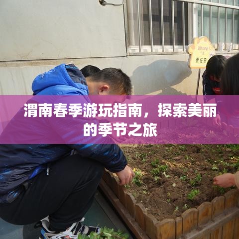 渭南春季游玩指南，探索美麗的季節(jié)之旅