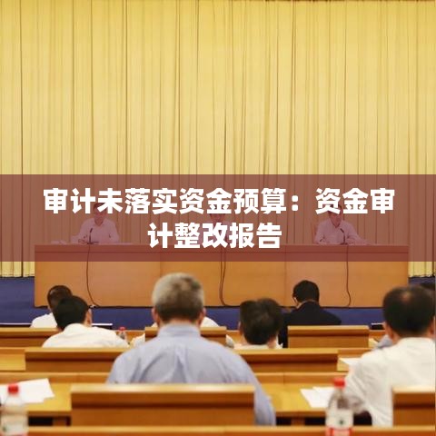 審計(jì)未落實(shí)資金預(yù)算：資金審計(jì)整改報(bào)告 