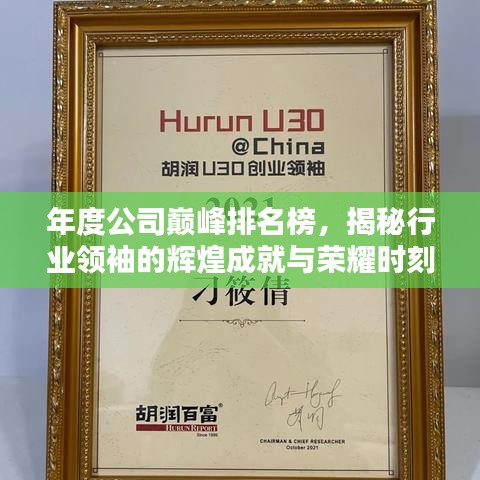 年度公司巔峰排名榜，揭秘行業(yè)領(lǐng)袖的輝煌成就與榮耀時刻