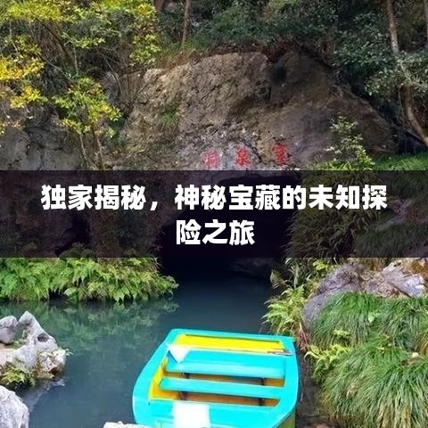獨(dú)家揭秘，神秘寶藏的未知探險之旅