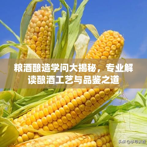 糧酒釀造學(xué)問大揭秘，專業(yè)解讀釀酒工藝與品鑒之道