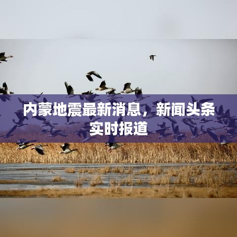 內(nèi)蒙地震最新消息，新聞?lì)^條實(shí)時(shí)報(bào)道