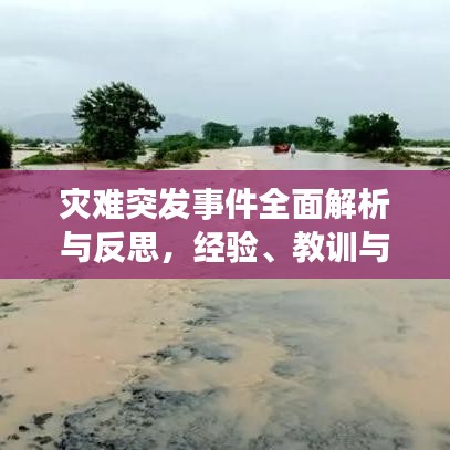 災(zāi)難突發(fā)事件全面解析與反思，經(jīng)驗、教訓(xùn)與應(yīng)對策略