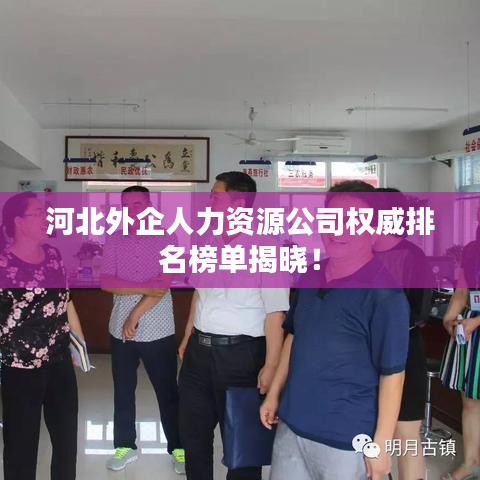 河北外企人力資源公司權(quán)威排名榜單揭曉！
