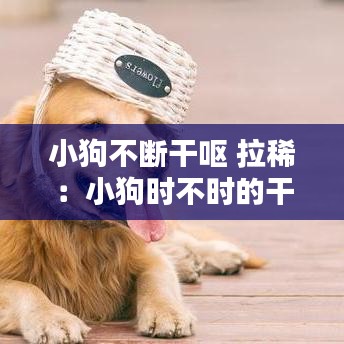 小狗不斷干嘔 拉?。盒」窌r不時的干嘔但吃喝拉撒正常 