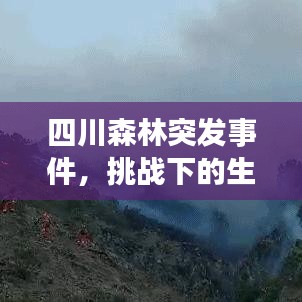 張燈結(jié)彩 第3頁