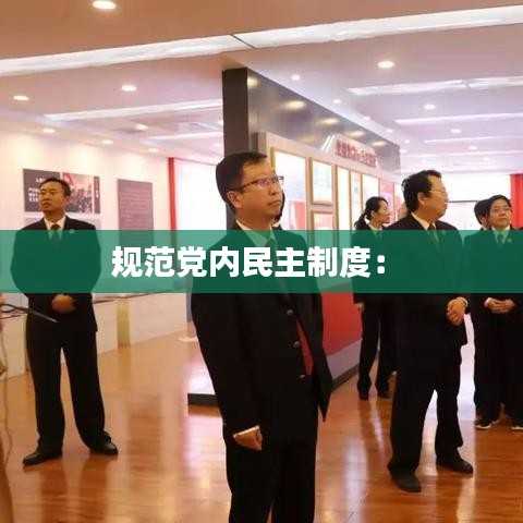 規(guī)范黨內民主制度： 