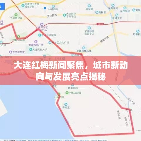 大連紅梅新聞聚焦，城市新動向與發(fā)展亮點揭秘