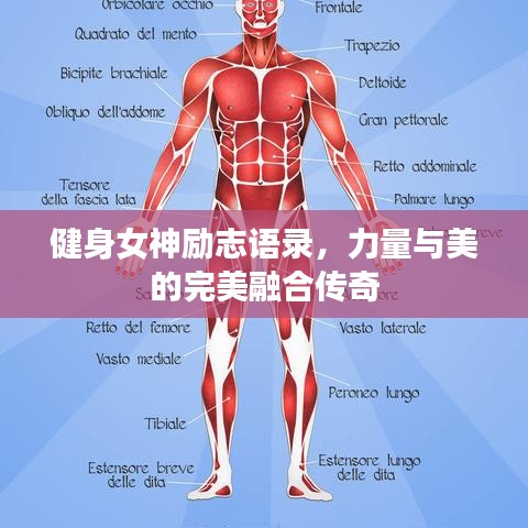 健身女神勵(lì)志語錄，力量與美的完美融合傳奇