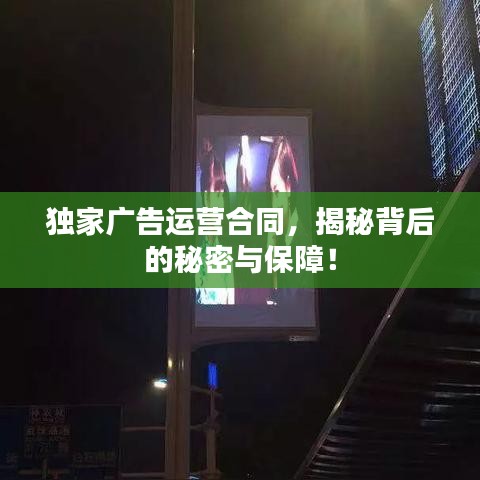 飛來(lái)橫禍 第3頁(yè)