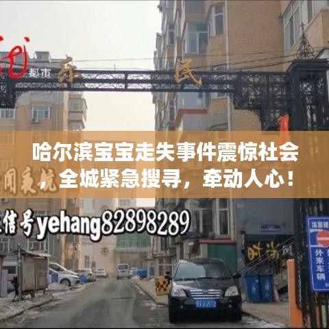哈爾濱寶寶走失事件震驚社會，全城緊急搜尋，牽動人心！