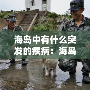 海島中有什么突發(fā)的疾?。汉u現(xiàn)狀 