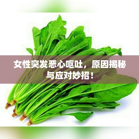 女性突發(fā)惡心嘔吐，原因揭秘與應(yīng)對(duì)妙招！