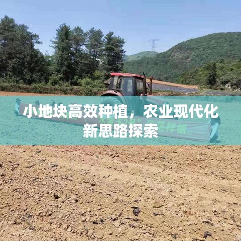 小地塊高效種植，農(nóng)業(yè)現(xiàn)代化新思路探索