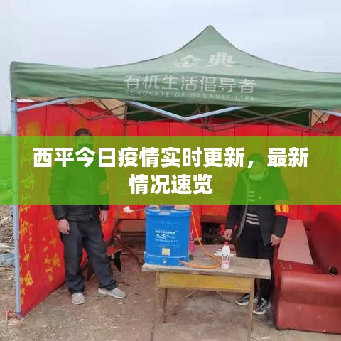 西平今日疫情實時更新，最新情況速覽