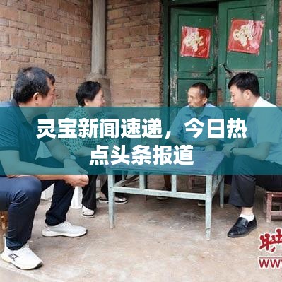 靈寶新聞速遞，今日熱點頭條報道