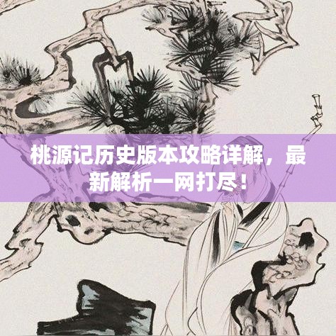 桃源記歷史版本攻略詳解，最新解析一網(wǎng)打盡！