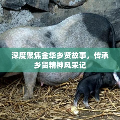 深度聚焦金華鄉(xiāng)賢故事，傳承鄉(xiāng)賢精神風(fēng)采記