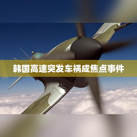 韓國高速突發(fā)車禍成焦點(diǎn)事件