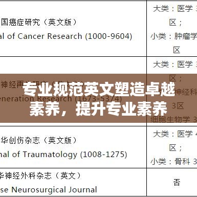 專業(yè)規(guī)范英文塑造卓越素養(yǎng)，提升專業(yè)素養(yǎng)的關(guān)鍵之道