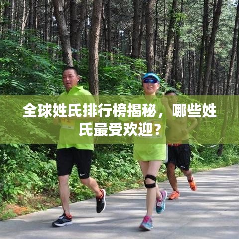 全球姓氏排行榜揭秘，哪些姓氏最受歡迎？