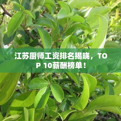 江蘇廚師工資排名揭曉，TOP 10薪酬榜單！