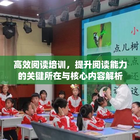 高效閱讀培訓(xùn)，提升閱讀能力的關(guān)鍵所在與核心內(nèi)容解析