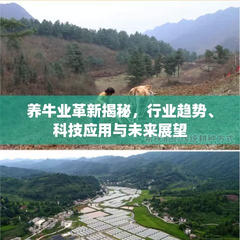 養(yǎng)牛業(yè)革新揭秘，行業(yè)趨勢(shì)、科技應(yīng)用與未來(lái)展望