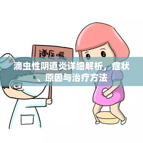 滴蟲性陰道炎詳細(xì)解析，癥狀、原因與治療方法