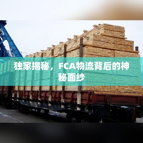 獨(dú)家揭秘，F(xiàn)CA物流背后的神秘面紗
