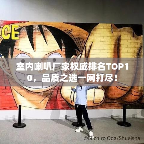室內(nèi)喇叭廠家權(quán)威排名TOP10，品質(zhì)之選一網(wǎng)打盡！