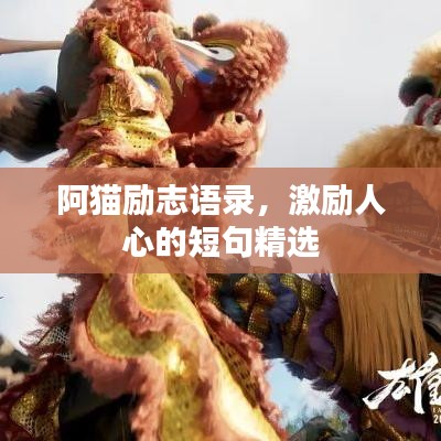 阿貓勵志語錄，激勵人心的短句精選