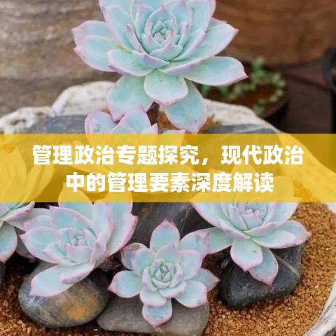 管理政治專(zhuān)題探究，現(xiàn)代政治中的管理要素深度解讀