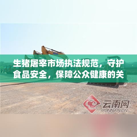 生豬屠宰市場執(zhí)法規(guī)范，守護(hù)食品安全，保障公眾健康的關(guān)鍵環(huán)節(jié)