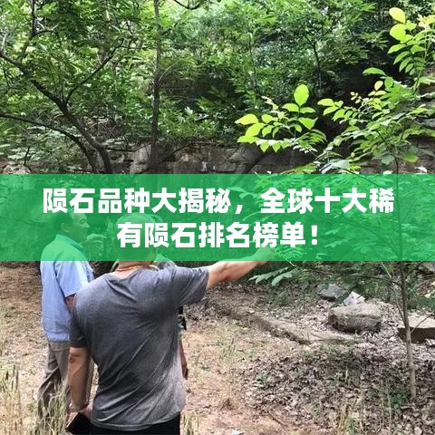 隕石品種大揭秘，全球十大稀有隕石排名榜單！