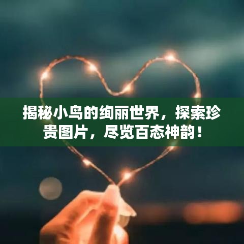 揭秘小鳥的絢麗世界，探索珍貴圖片，盡覽百態(tài)神韻！