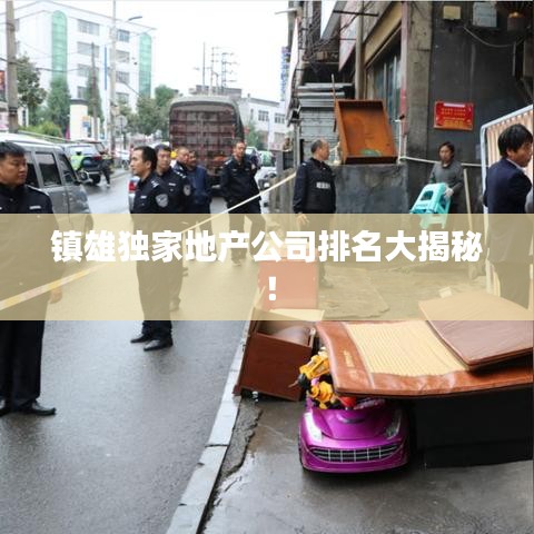 鎮(zhèn)雄獨(dú)家地產(chǎn)公司排名大揭秘！