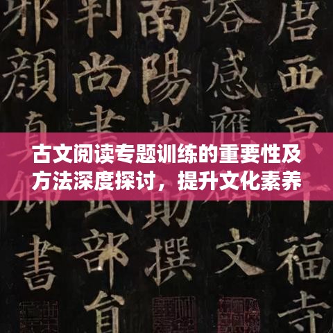 古文閱讀專題訓(xùn)練的重要性及方法深度探討，提升文化素養(yǎng)的關(guān)鍵路徑