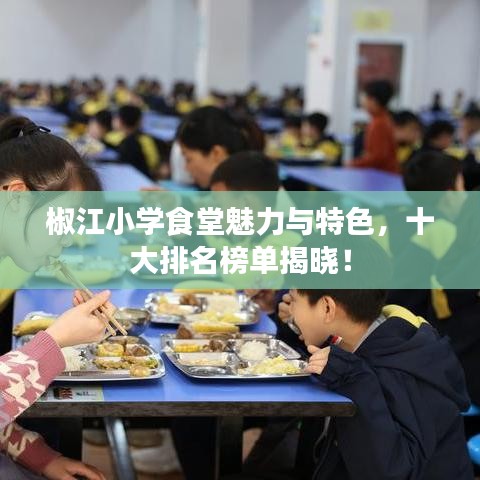 椒江小學(xué)食堂魅力與特色，十大排名榜單揭曉！