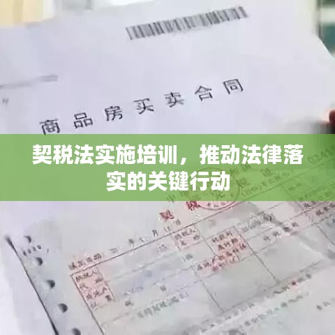 契稅法實(shí)施培訓(xùn)，推動(dòng)法律落實(shí)的關(guān)鍵行動(dòng)