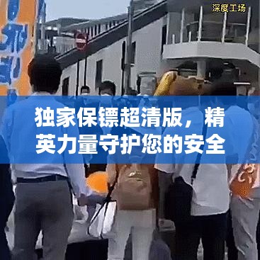 獨(dú)家保鏢超清版，精英力量守護(hù)您的安全