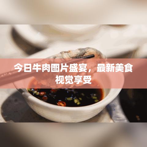 今日牛肉圖片盛宴，最新美食視覺(jué)享受