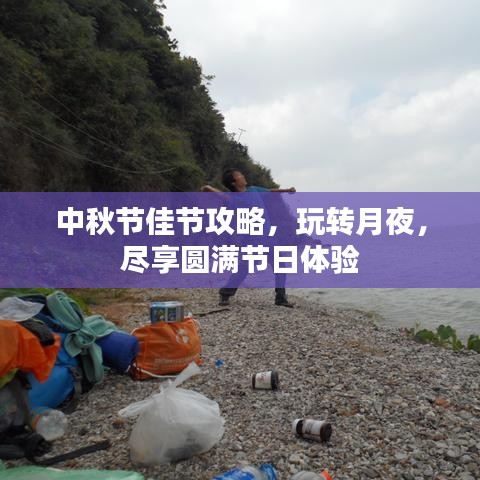 中秋節(jié)佳節(jié)攻略，玩轉(zhuǎn)月夜，盡享圓滿節(jié)日體驗