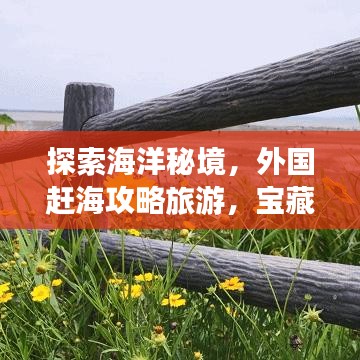 探索海洋秘境，外國趕海攻略旅游，寶藏之旅開啟！